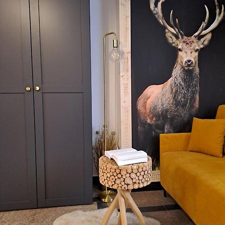 Apartamenty U Paliderki ポロニン エクステリア 写真