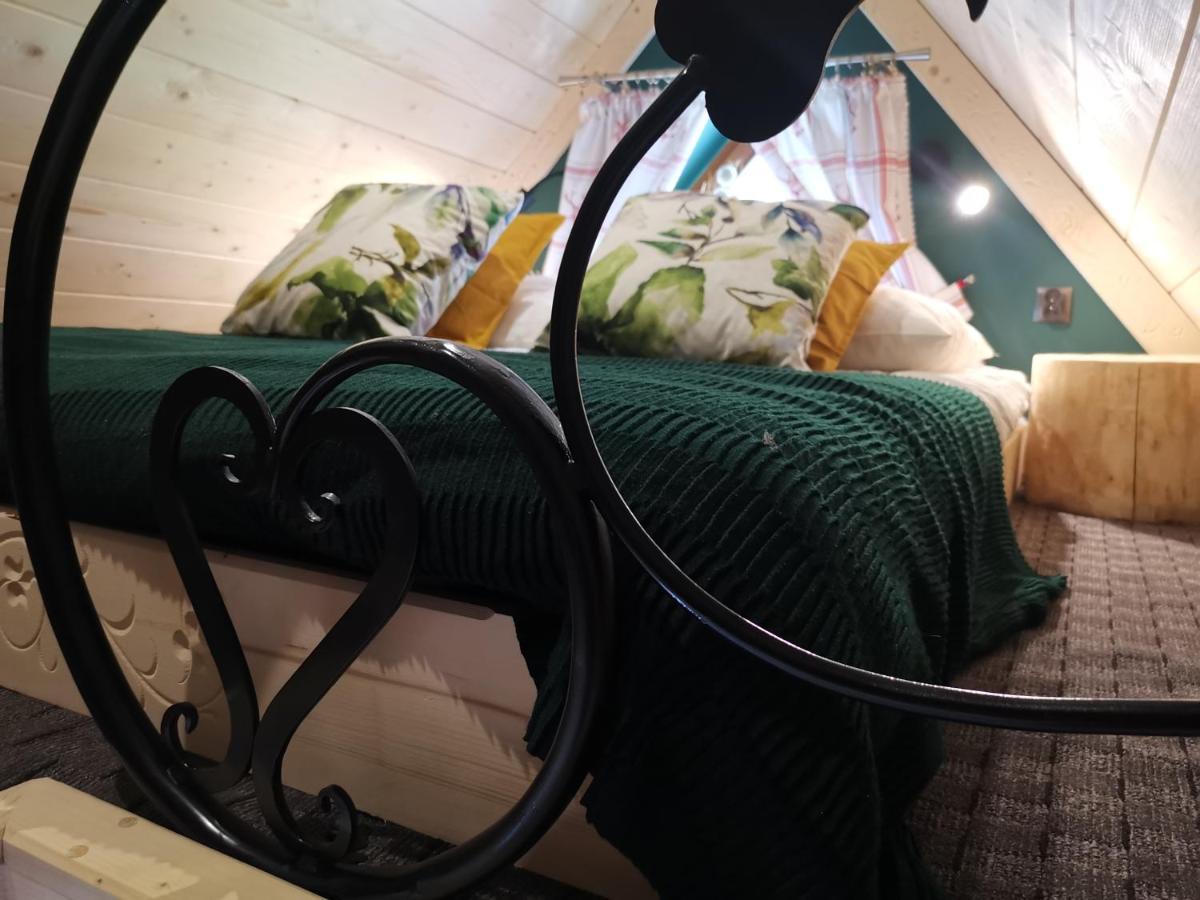 Apartamenty U Paliderki ポロニン エクステリア 写真
