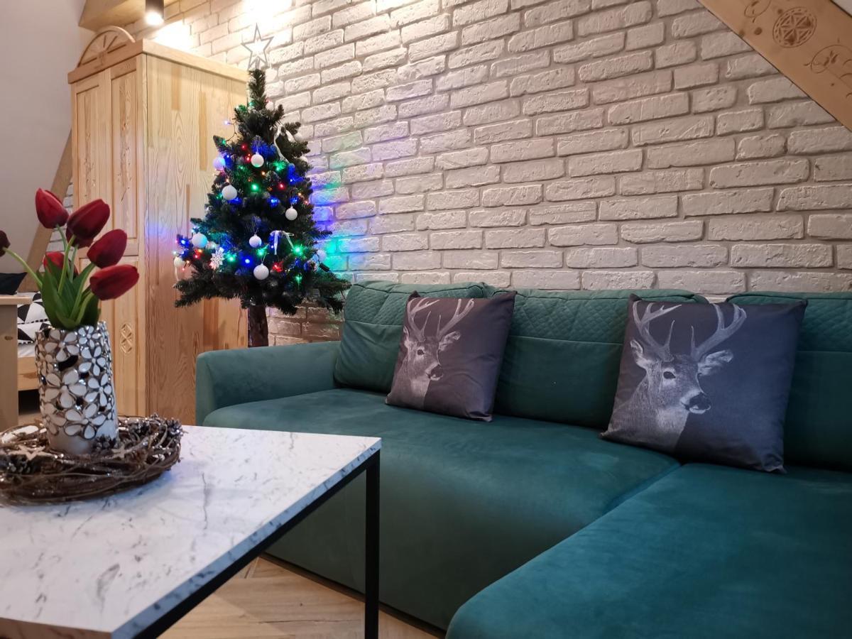 Apartamenty U Paliderki ポロニン エクステリア 写真